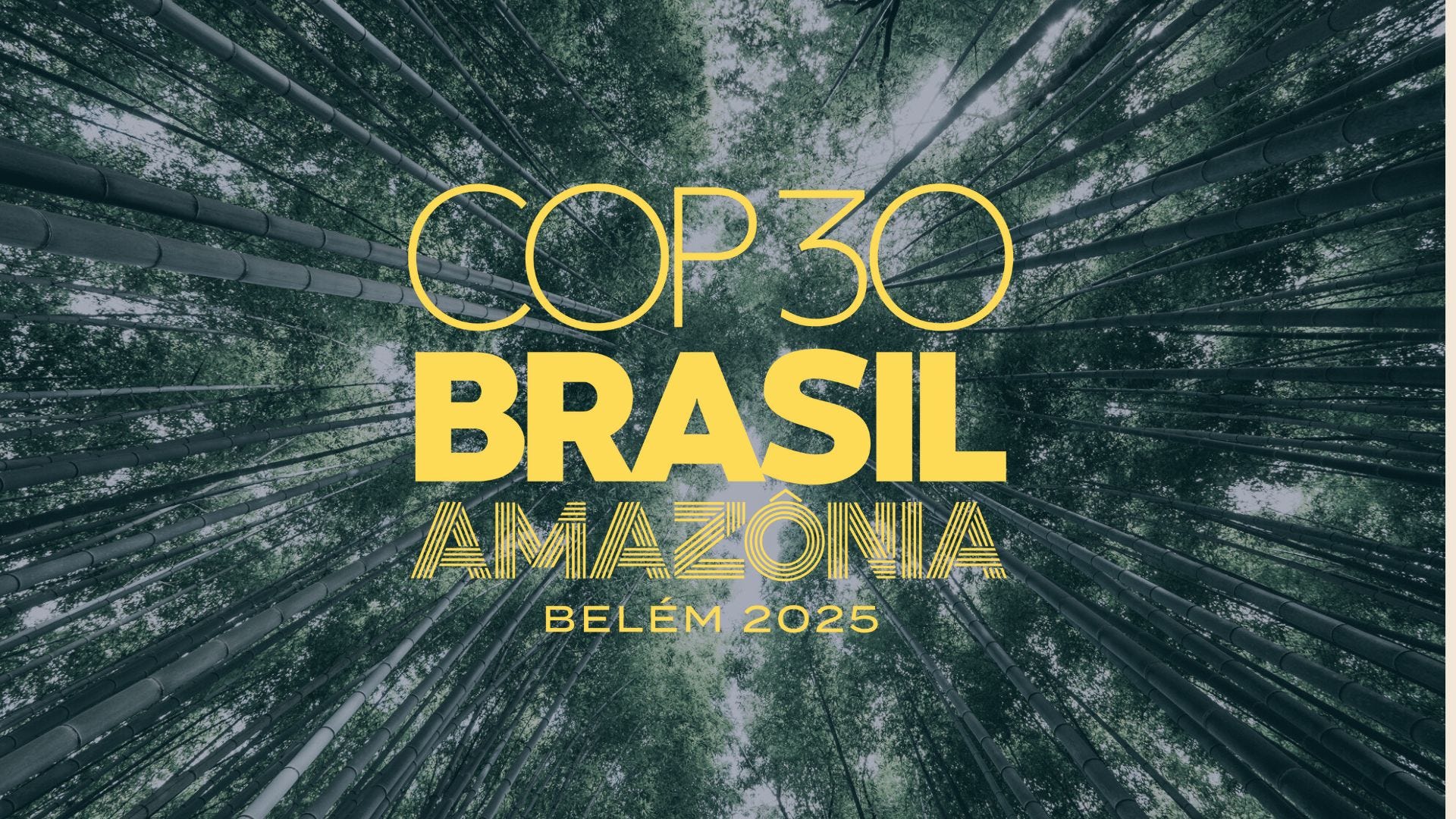 COP30 in Brasile: tra inerzia politica e urgenza climatica